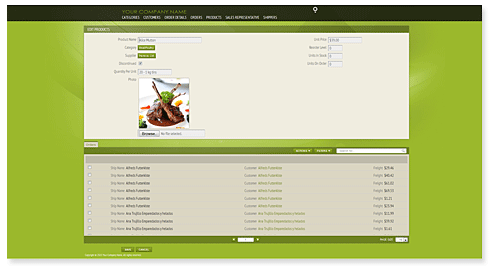 CustomizingPanelStylesIntermediate