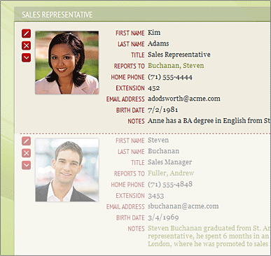 CustomizingDataGridAfter