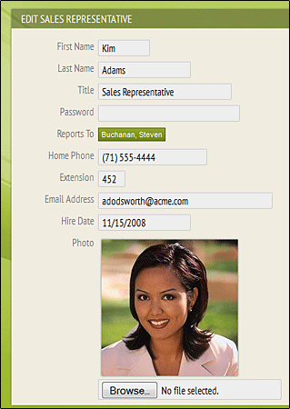 CustomizingEditRecordPanelAfter